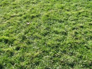OTFL Gallery Image